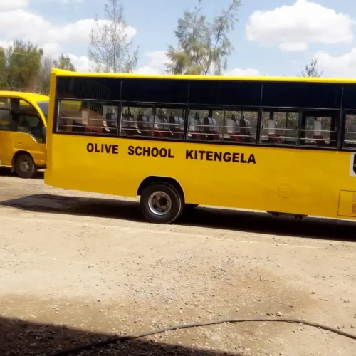 School Buses